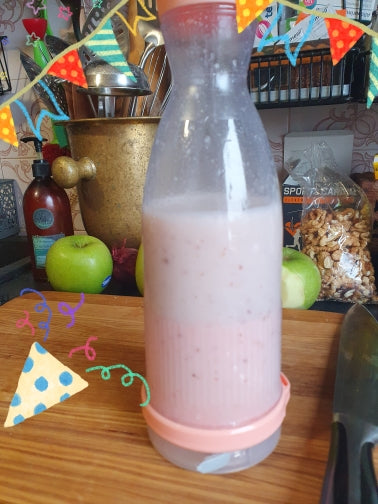 Portable Blender Electric Fruit Juicer Mixer