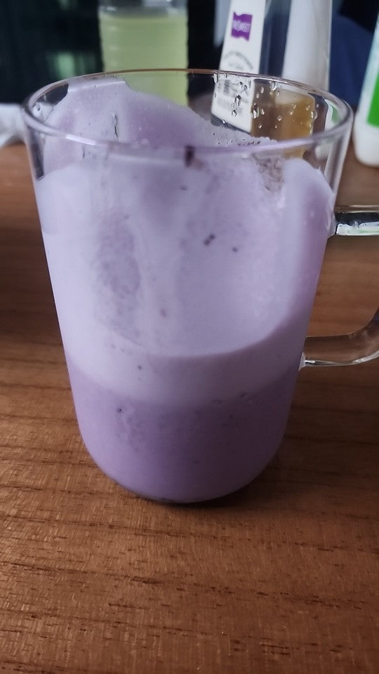 Portable Blender Electric Fruit Juicer Mixer