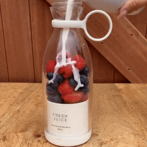 Portable Blender Electric Fruit Juicer Mixer